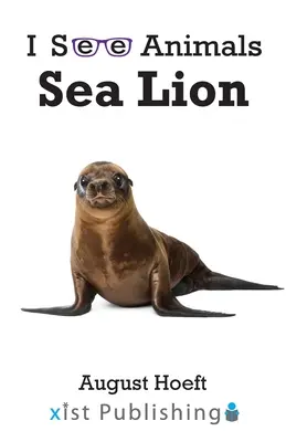 Otarie - Sea Lion