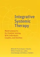 Thérapie systémique intégrative : Metaframeworks for Problem Solving with Individuals, Couples, and Families (Méta-cadres pour la résolution de problèmes avec les individus, les couples et les familles) - Integrative Systemic Therapy: Metaframeworks for Problem Solving with Individuals, Couples, and Families