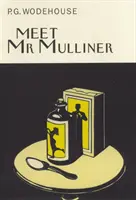 Rencontre avec M. Mulliner - Meet Mr Mulliner