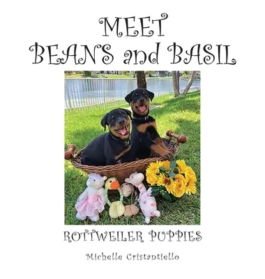 A la rencontre des haricots et du basilic - Meet Beans and Basil