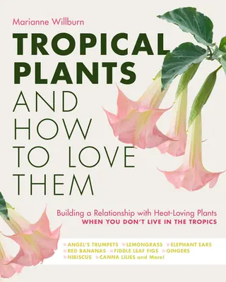 Tropical Plants and How to Love Them : Building a Relationship with Heat-Loving Plants When You Don't Live in the Tropics - Angel's Trumpets - Lemongra (en anglais) - Tropical Plants and How to Love Them: Building a Relationship with Heat-Loving Plants When You Don't Live in the Tropics - Angel's Trumpets - Lemongra