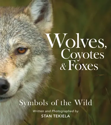 Loups, coyotes et renards : Les symboles de la nature - Wolves, Coyotes & Foxes: Symbols of the Wild