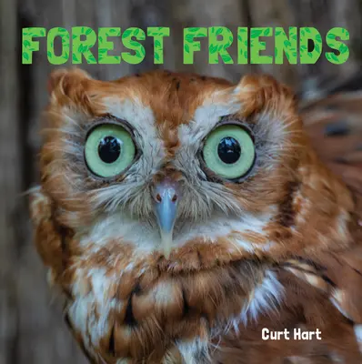 Amis de la forêt - Forest Friends