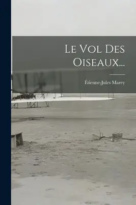 Le Vol des Oiseaux... - Le Vol Des Oiseaux...