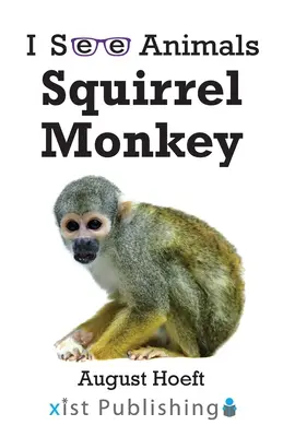 Écureuil Singe - Squirrel Monkey