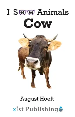 Vache - Cow