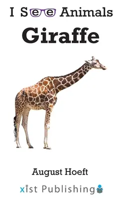 Girafe - Giraffe