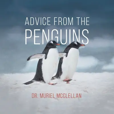 Les conseils des pingouins - Advice from the Penguins