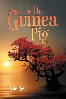 Le cochon d'Inde - The Guinea Pig