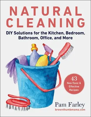 Natural Cleaning : Solutions DIY pour la cuisine, la chambre à coucher, la salle de bain, le bureau et plus encore - Natural Cleaning: DIY Solutions for the Kitchen, Bedroom, Bathroom, Office, and More