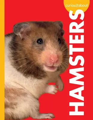 Curieux au sujet des hamsters - Curious about Hamsters