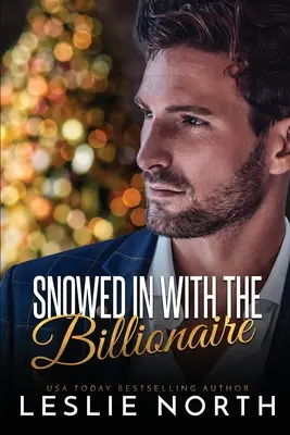 Le milliardaire sous la neige - Snowed in with the Billionaire