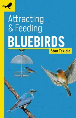 Attirer et nourrir les merles bleus - Attracting & Feeding Bluebirds