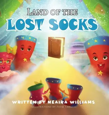 Le pays des chaussettes perdues - Land of the Lost Socks