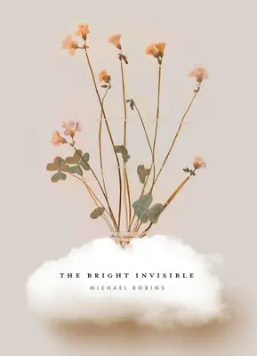 L'invisible brillant - The Bright Invisible