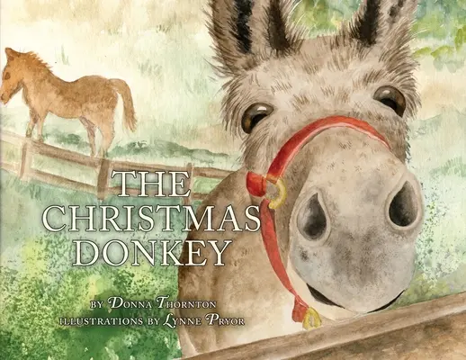 L'âne de Noël - The Christmas Donkey