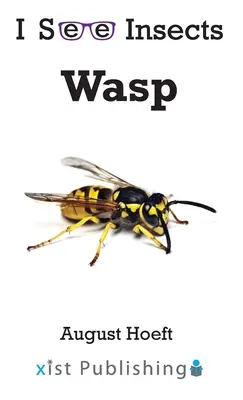 Guêpe - Wasp