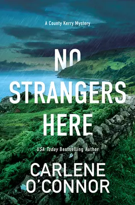 Pas d'étrangers ici : Un mystère irlandais sombre et captivant - No Strangers Here: A Riveting Dark Irish Mystery