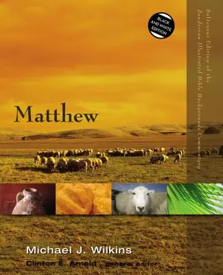 Matthieu - Matthew