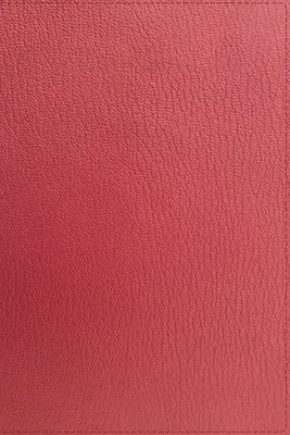 Niv, Thinline Bible, Premium Goatkin Leather, Coral, Premier Collection, Black Letter, Gauffered Edges, Comfort Print - Niv, Thinline Bible, Premium Goatskin Leather, Coral, Premier Collection, Black Letter, Gauffered Edges, Comfort Print