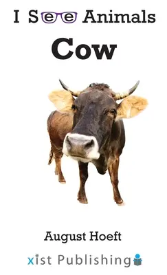 Vache - Cow