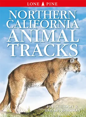 Traces d'animaux de Californie du Nord - Northern California Animal Tracks