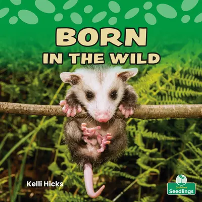 Born in the Wild (Né dans la nature) - Born in the Wild