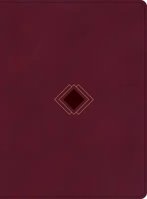 CSB Day-By-Day Chronological Bible, Burgundy Leathertouch