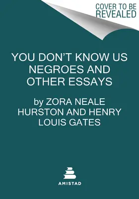 You Don't Know Us Negroes and Other Essays (Vous ne nous connaissez pas, nous les Noirs, et autres essais) - You Don't Know Us Negroes and Other Essays