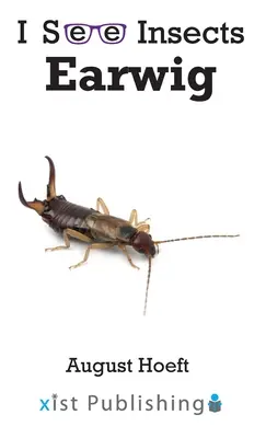 Perce-oreille - Earwig