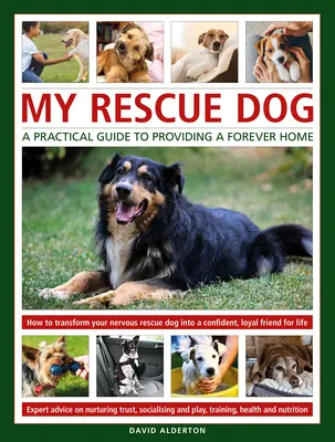 Mon chien de sauvetage - My Rescue Dog