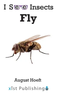 Mouche - Fly