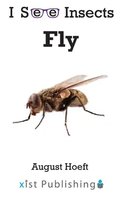 Mouche - Fly