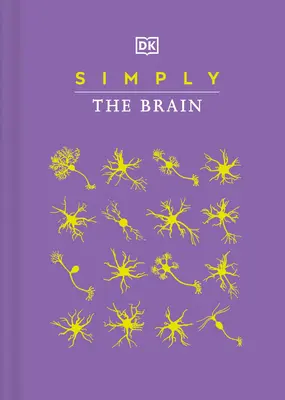 Simplement le cerveau - Simply the Brain