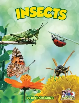 Insectes - Insects