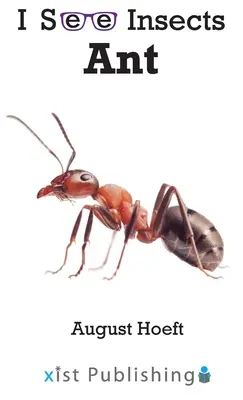 Fourmi - Ant