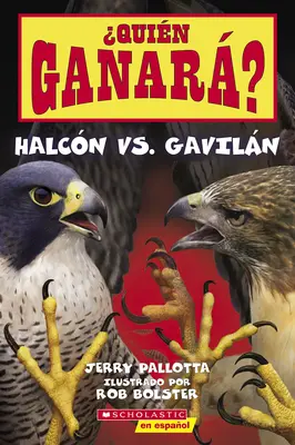 Quin Ganar ? Halcn vs. Gaviln (Qui gagnera ? Faucon vs. Hawk) - Quin Ganar? Halcn vs. Gaviln (Who Will Win? Falcon vs. Hawk)