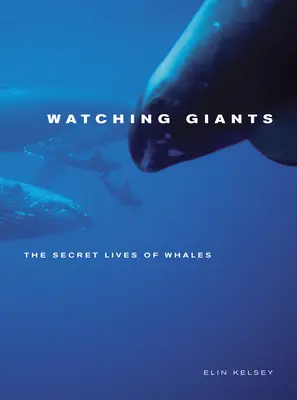Watching Giants : La vie secrète des baleines - Watching Giants: The Secret Lives of Whales
