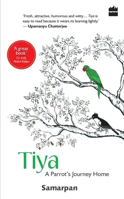 Tiya : Le retour à la maison d'un perroquet - Tiya: A Parrot's Journey Home