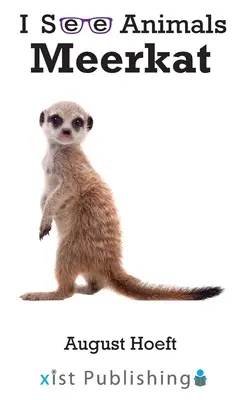 Suricate - Meerkat