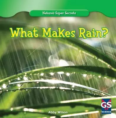 Qu'est-ce qui fait la pluie ? - What Makes Rain?