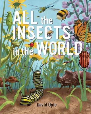 Tous les insectes du monde - All the Insects in the World