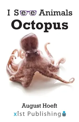 Pieuvre - Octopus