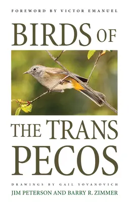 Les oiseaux du Trans-Pecos - Birds of the Trans-Pecos