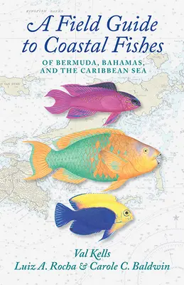 A Field Guide to Coastal Fishes of Bermuda, Bahamas, and the Caribbean Sea (Guide de terrain des poissons côtiers des Bermudes, des Bahamas et de la mer des Caraïbes) - A Field Guide to Coastal Fishes of Bermuda, Bahamas, and the Caribbean Sea