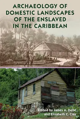 Archéologie des paysages domestiques des esclaves dans les Caraïbes - Archaeology of Domestic Landscapes of the Enslaved in the Caribbean