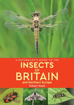 Guide du naturaliste sur les insectes de Grande-Bretagne et d'Europe du Nord - A Naturalist's Guide to the Insects of Britain & Northern Europe