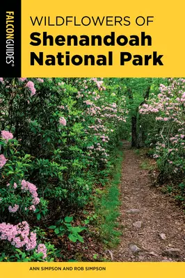 Les fleurs sauvages du parc national de Shenandoah : Un guide de terrain pour les fleurs sauvages du parc - Wildflowers of Shenandoah National Park: A Field Guide to the Park's Wildflowers