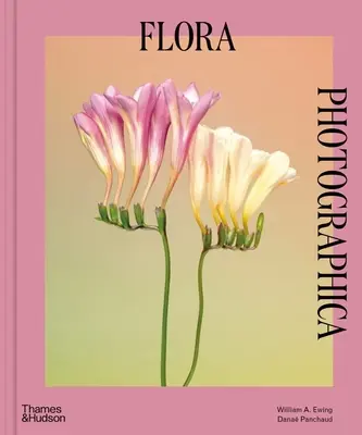 Flora Photographica : La fleur dans la photographie contemporaine - Flora Photographica: The Flower in Contemporary Photography