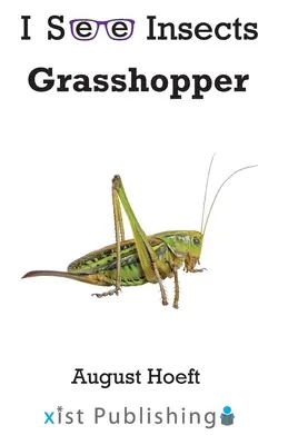 Sauterelle - Grasshopper